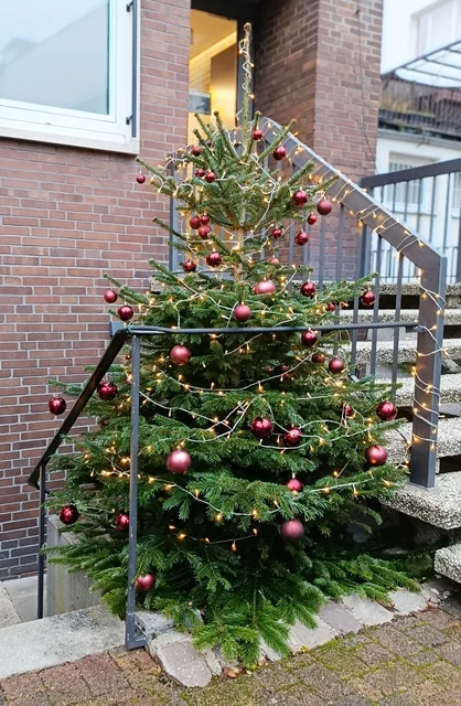 Ein geschmückter Tannenbaum vor einer Hausfront