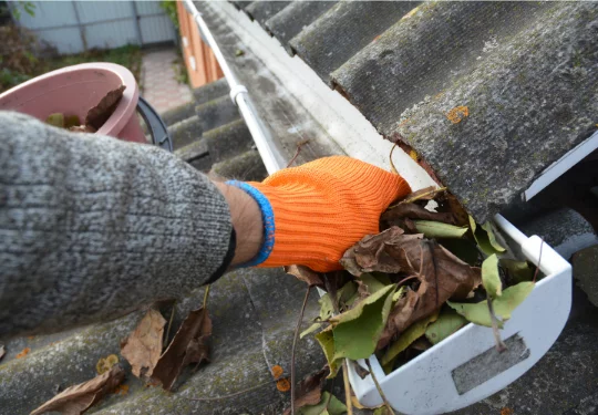 mehrere Teller mit Faschingskrapfen, mit Puderzucker bestäubt, stehen auf einem weißen Tisch, dazwischen sieht man Luftschlangen und dahinter einen Blumenstrauß in einer Vase